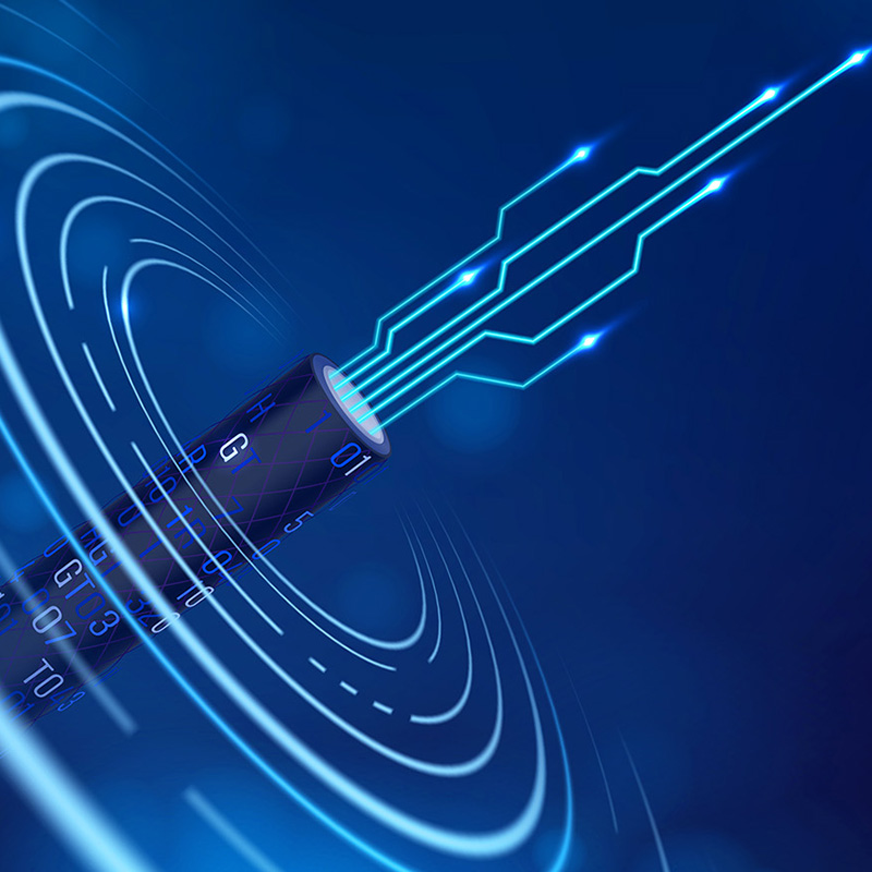 Lianou Electric předvádí na International Electrical Expo inovativní produkty a je v čele zeleného trendu